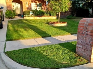 William G.'s Lawn Mowing Service service result