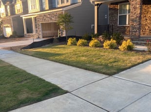 Jeff V.'s Lawn Mowing Service service result