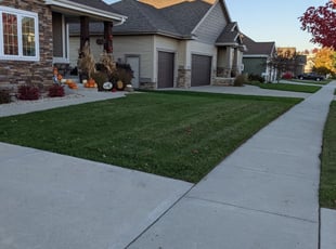 Lacey W.'s Lawn Care service result