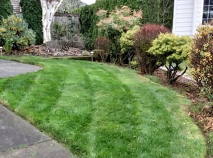 Mary S.'s Lawn Mowing service result