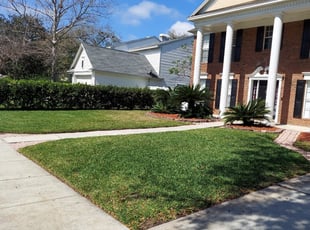 Heather E.'s Grass Cutting service result