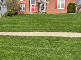 Odinaka E.'s Lawn Service service result