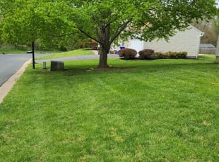 Anna D.'s Lawn Service service result