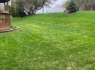 Prince O.'s Lawn Maintenance service result