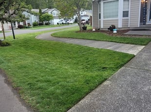 Ryke N.'s Lawn Service service result