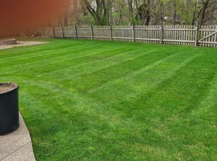Eva J.'s Lawn Service service result