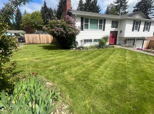 Barbara B.'s Lawn Care service result