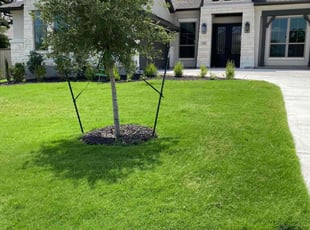 Karen S.'s Lawn Care service result