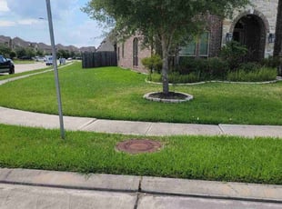 Laqunda W.'s Lawn Mowing Service service result