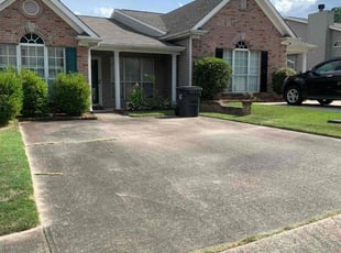 Lisa C.'s Lawn Mowing service result