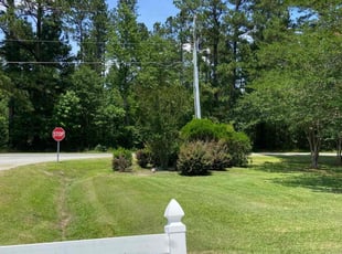 Teisha C.'s Lawn Mowing Service service result