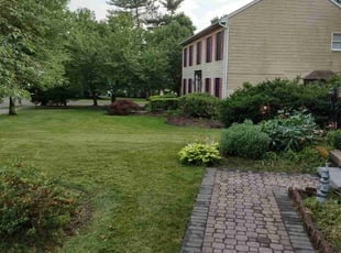 Kelly L.'s Grass Cutting service result