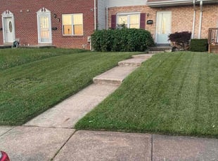 Mary H.'s Lawn Care service result