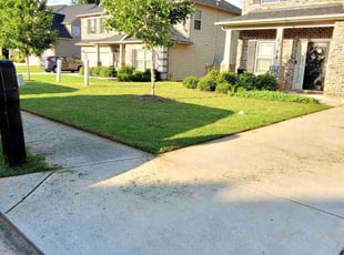 Frenandus M.'s Lawn Mowing service result