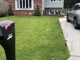 Kathy B.'s Lawn Service service result