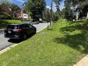 Parthenia p.'s Lawn Mowing service result