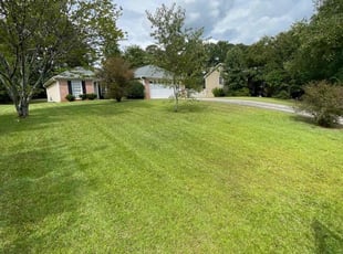 Richard H.'s Lawn Mowing service result