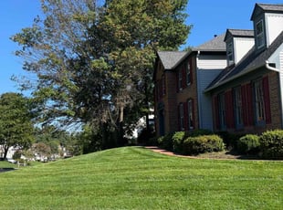 Rajkumar V.'s Lawn Maintenance service result