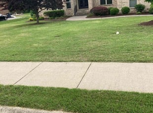 Angie S.'s Lawn Care service result