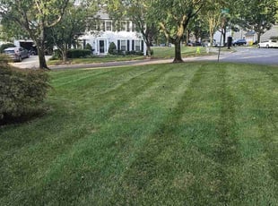 Kaldin C.'s Lawn Mowing Service service result