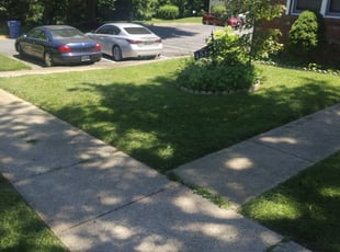 Francine D.'s Lawn Service service result