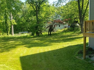 Bernice Q.'s Lawn Mowing service result