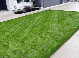 Kelly K.'s Yard Cutting service result