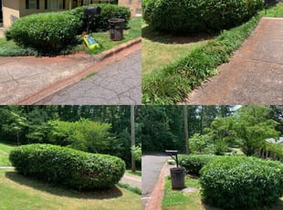 Carmen H.'s Lawn Maintenance service result