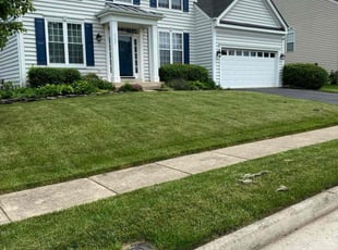Sylvia B.'s Lawn Mowing Service service result