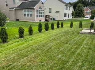 Tristan M.'s Lawn Care service result