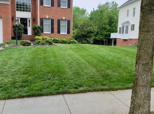Jasmine W.'s Lawn Service service result