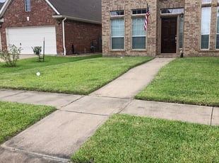 Stephen H.'s Yard Cutting service result