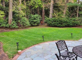 George g.'s Lawn Service service result