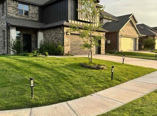 Michael N.'s Lawn Mowing service result