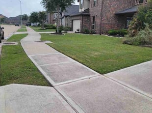 Courtney C.'s Lawn Mowing service result
