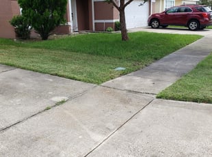 David R.'s Yard Cutting service result