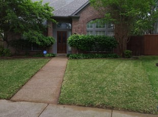 Ebony H.'s Yard Cutting service result