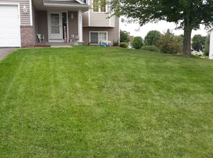 Kyung P.'s Lawn Care service result