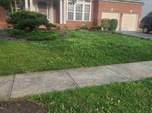 Kimberly L.'s Lawn Service service result