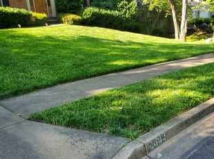 Maxine P.'s Lawn Mowing service result