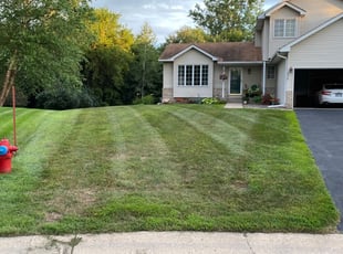 Aliya H.'s Lawn Mowing service result