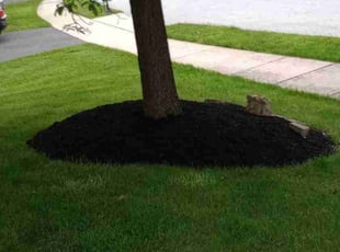 Kevin G.'s Lawn Care service result