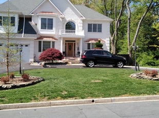 Rafael I.'s Lawn Care service result