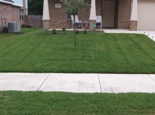 Alexis B.'s Lawn Mowing service result