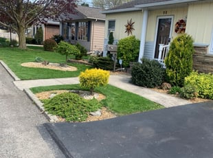 Tommie B.'s Lawn Mowing service result