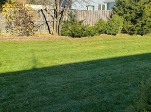 Dawn J.'s Lawn Mowing service result