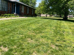 Mychal G.'s Lawn Care service result