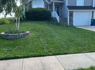 Jason E.'s Grass Cutting service result