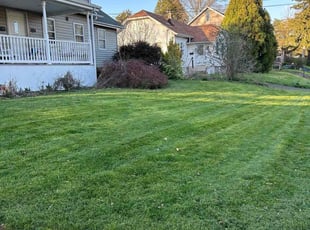 Becky G.'s Lawn Service service result