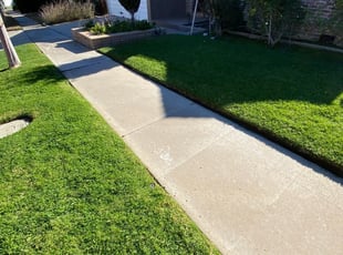 Amy G.'s Yard Cutting service result